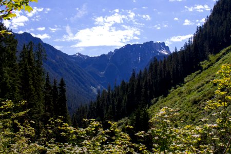 Forests and Mountains along East Fork of the Foss River, Mt Baker Snoqualmie National Forest photo