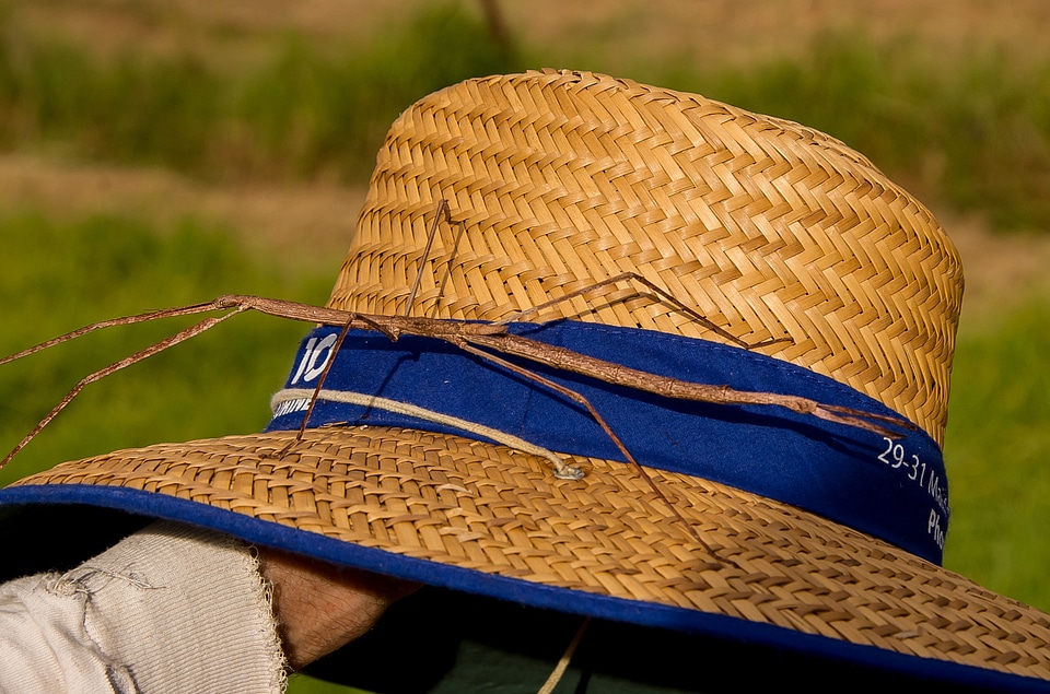 Wild wildlife hat