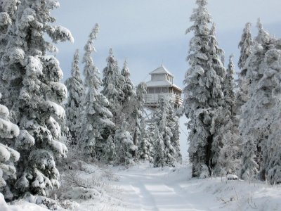 Winter Forest at Warner Mountain Lookout Tower, Willamette National Forest photo