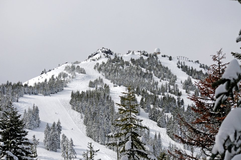 Mt. Ashland, Rogue River Siskiyou National Forest