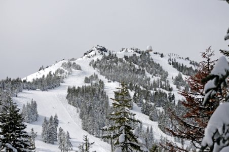 Mt. Ashland, Rogue River Siskiyou National Forest photo