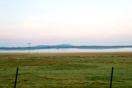 Fog Bank along Powerline-Fremont Winema