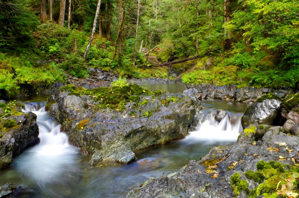 West fork of the Humptulips River, Olympic National Forest