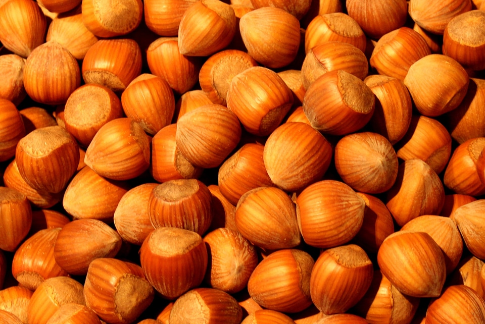 Hazelnuts hazelnut market
