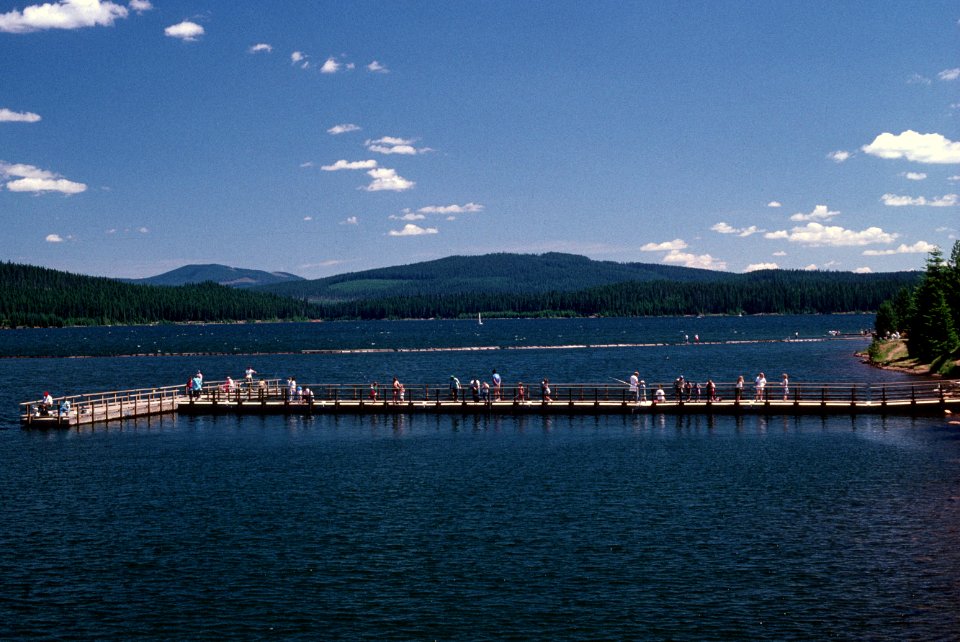 005 Recreation fishing pier Timothy Lake Mt Hood National Forest