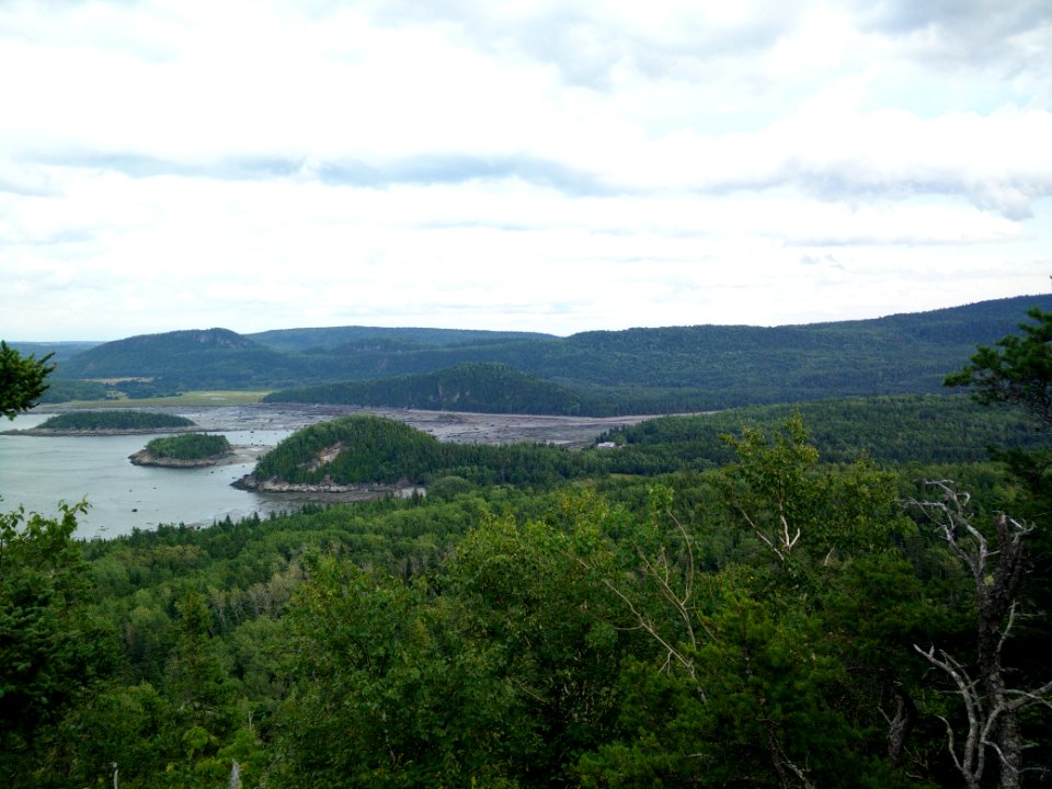 279 - Parc national du Bic : La Pinède
