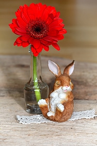 Red flower vase hare photo