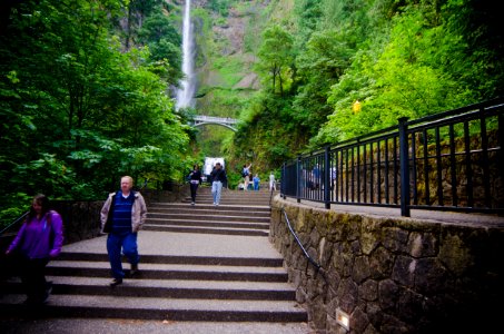 Stairway and Accessible Ramp at Multnomah Falls-Columbia River Gorge photo