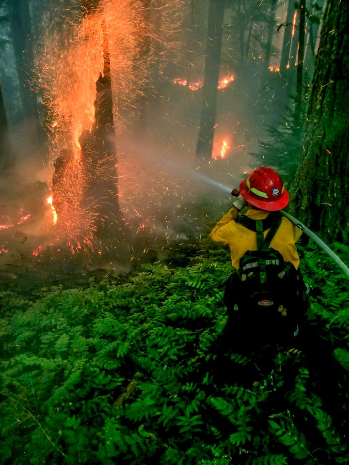 Fire fighters douses a snag with water, Jones Fire, 2017
