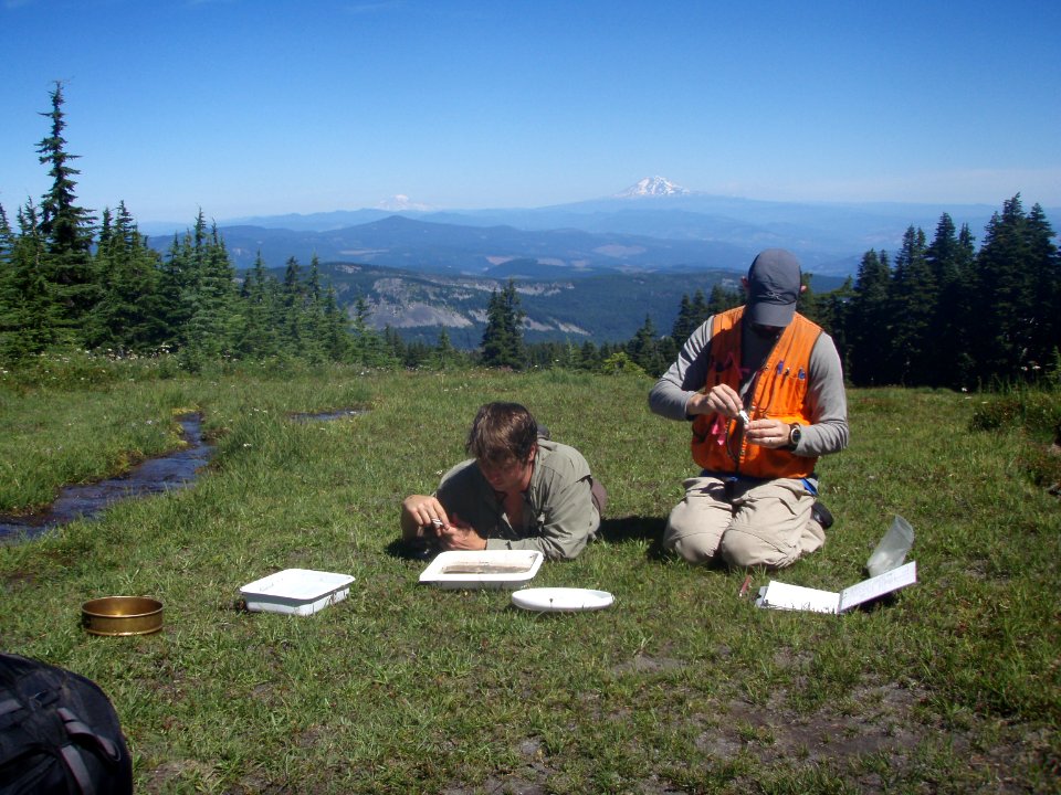Researchers conducting Stream Sampling-Mt Hood
