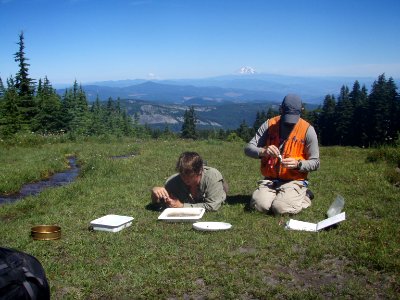 Researchers conducting Stream Sampling-Mt Hood
