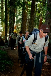 Group hiking at Mt Elinor 2-Olympic