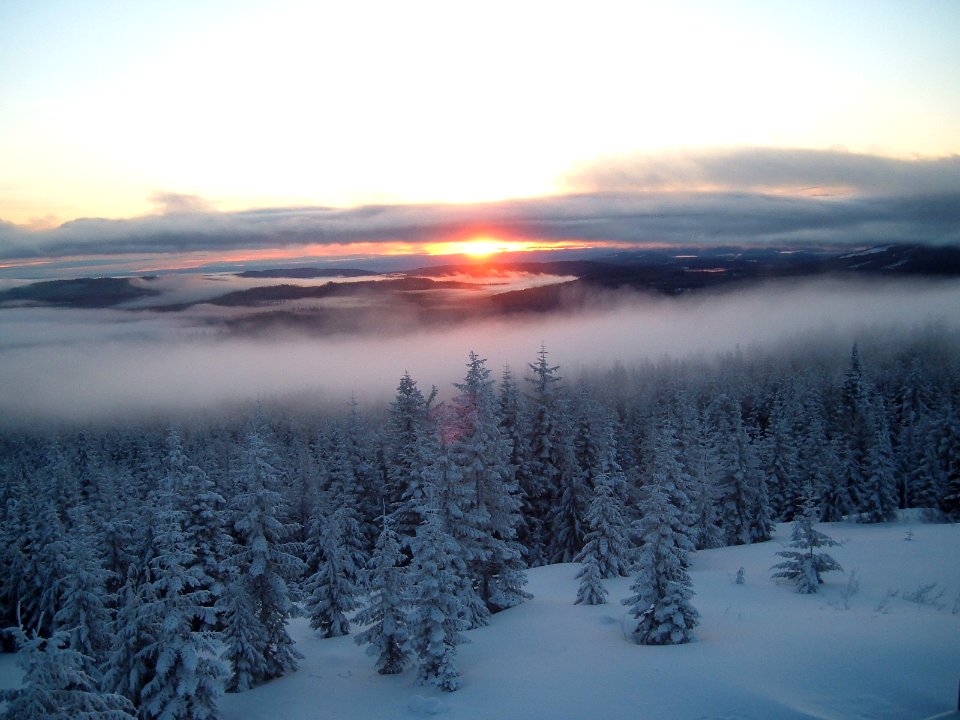 Mt. Hood Sunset, Mt. Hood National Forest