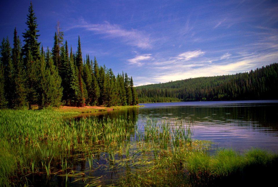 JUBILEE LAKE AND MARSH-UMATILLA