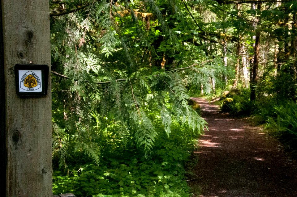 Pacific Northwest Trail at the Baker River Trailhead