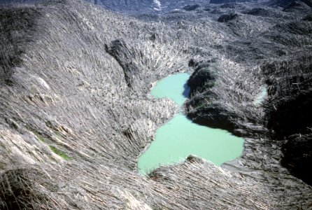 603 Mt St Helens NVM, Devastated area Boot Lake