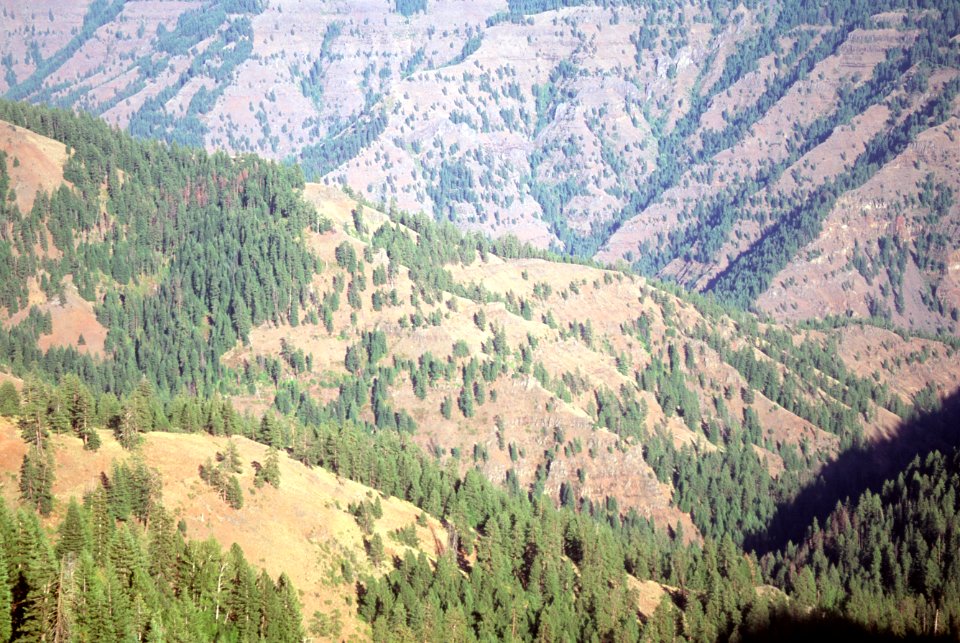 Wenaha-Tucannon Wilderness, Umatilla National Forest