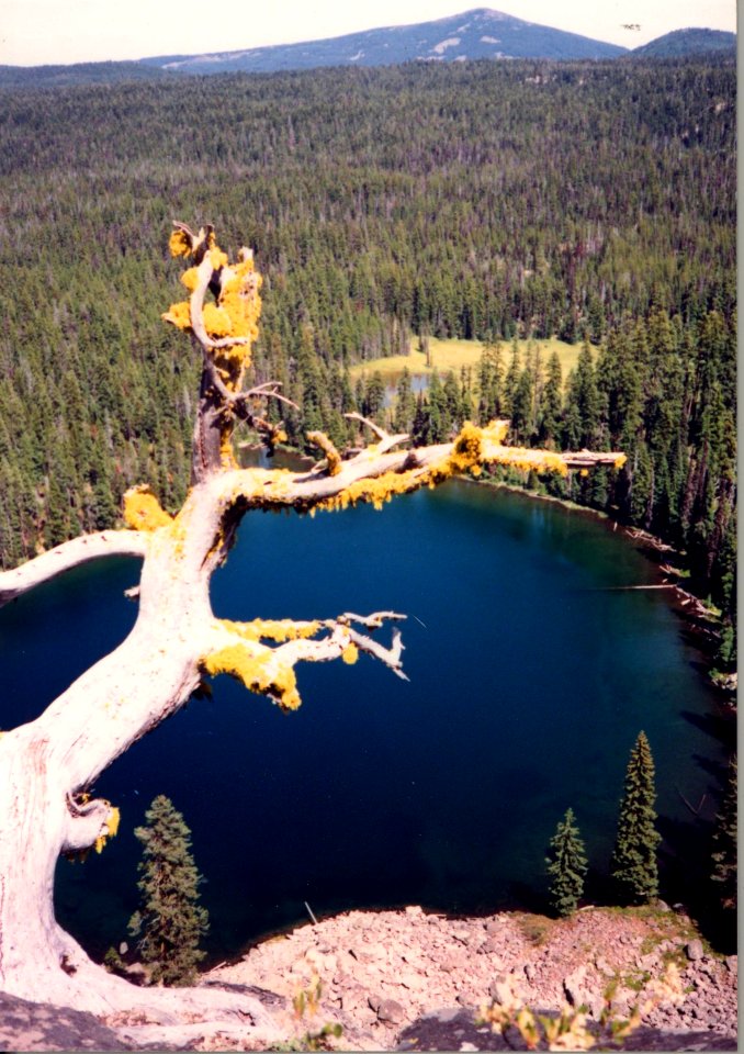 Blue Lake in Sky Lake Wilderness, Rogue River Siskiyou National Forest photo