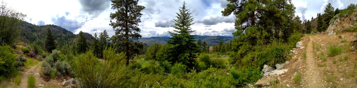 Pacific Northwest Trail panorama in Whistler Canyon 2