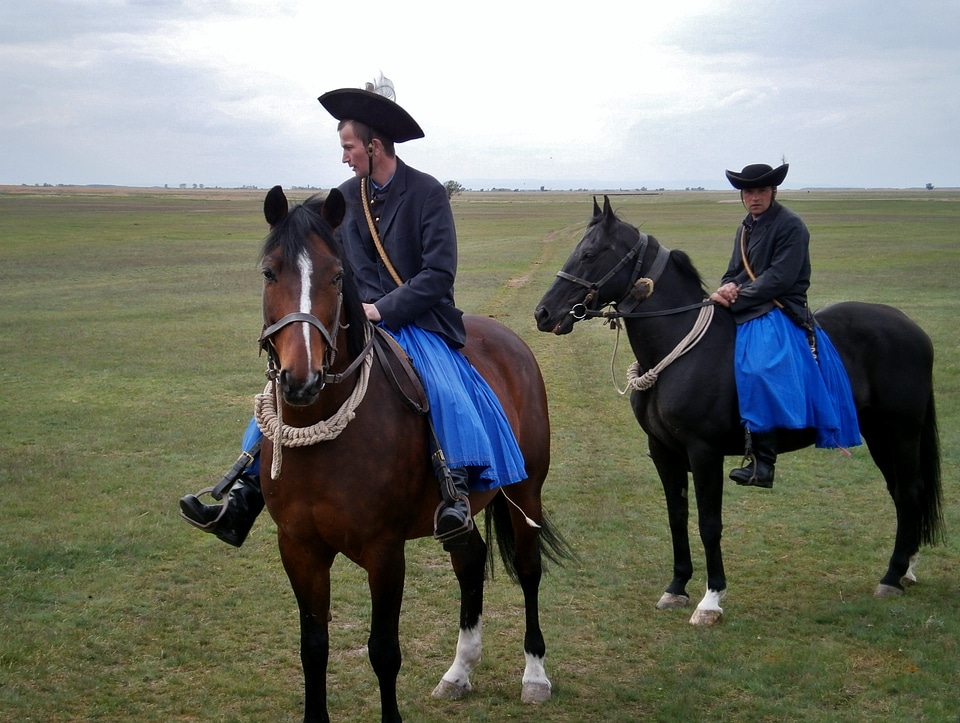 Horses costume drezůra