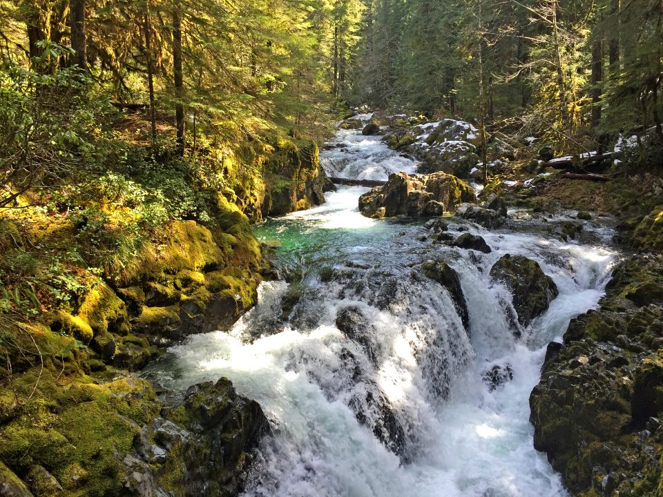 Opal Creek Rapids, Willamette National Forest