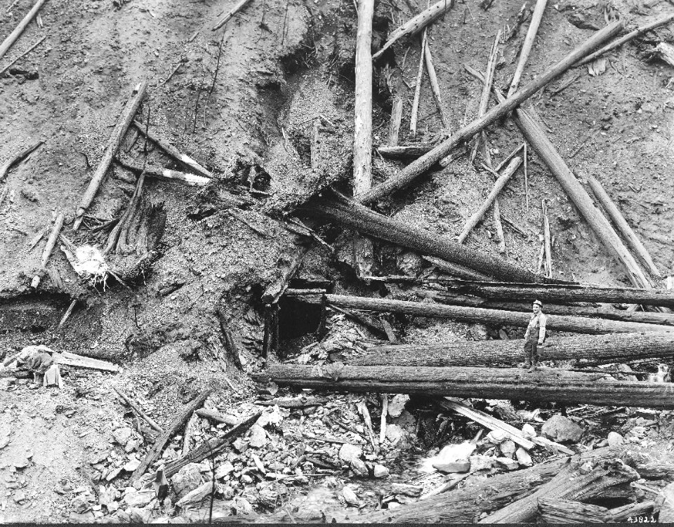 43822 Pulaski's Tunnel 1910 Fires in ID