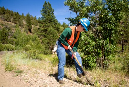Biologist, Noxious Weed Removal, Unknown