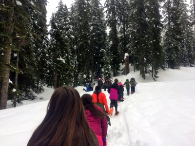 EKIP Snow Ecology Snowshoe Trek on Snoqualmie Pass with Concord International Elementary School 4th Graders, Mt. Baker-Snoqualmie National Forest photo