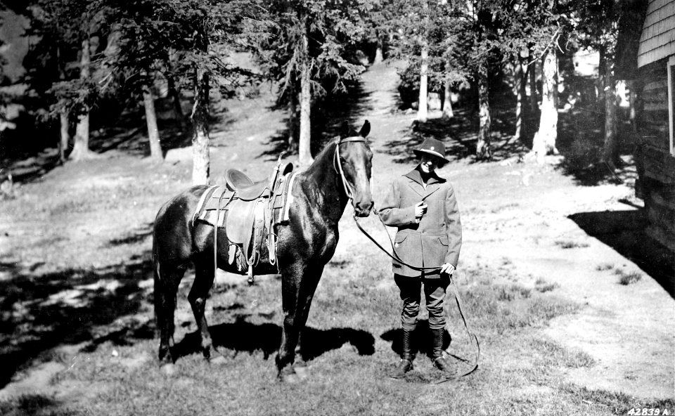 42839A Helen Dowe, Devils Head LO, Pike NF, CO 1919