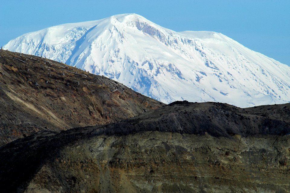 Mt Adams from Spirit Lake-Gifford Pinchot