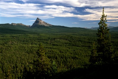 Mt Thielsen and Forest, Umpqua National Forest.jpg photo
