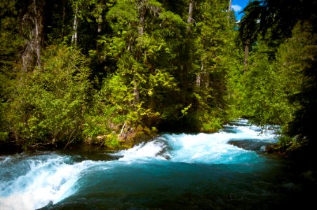 Rapids above Sahalie Falls-Willamette