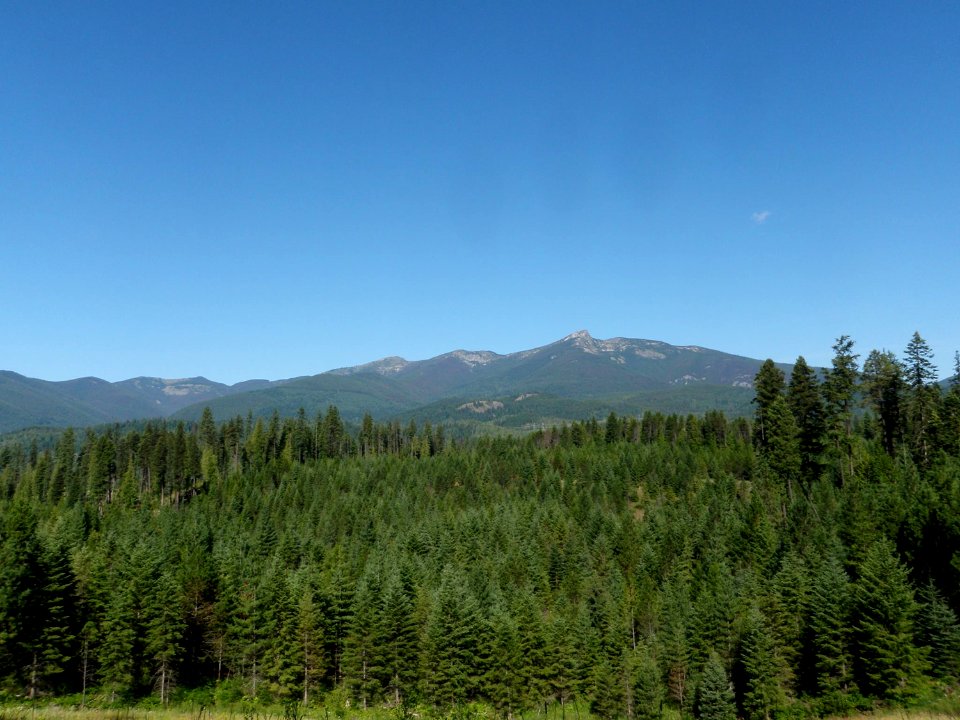 Hooknose Eagle and Sherlock Peaks-Colville National Forest