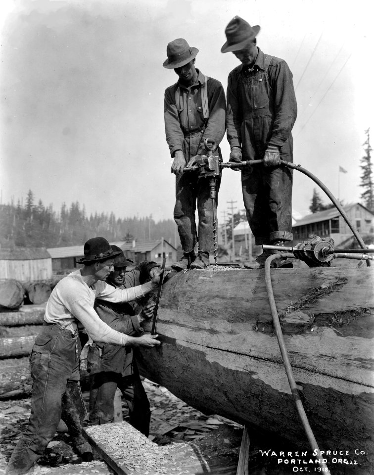 222 Drilling Donkey Sled