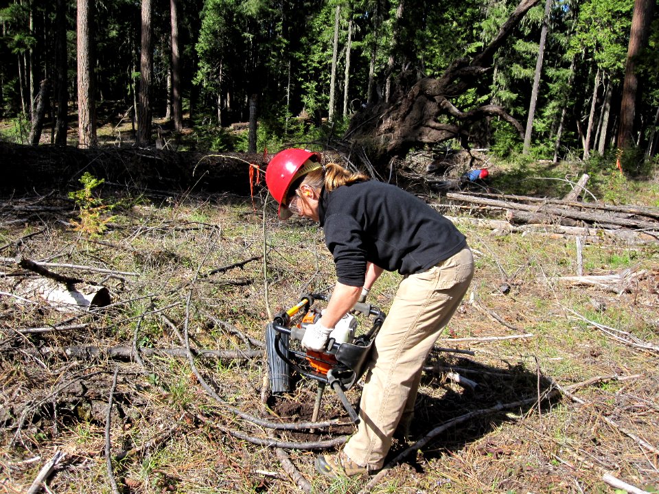 Upper Middle Fork Restoration-Tree Planting on Jims Creek, Willamette National Forest