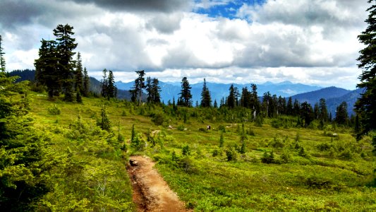 The Pacific Northwest Trail travels through meadows of huckleberry and heather on the Mt. Baker-Snoqualmie National Forest
