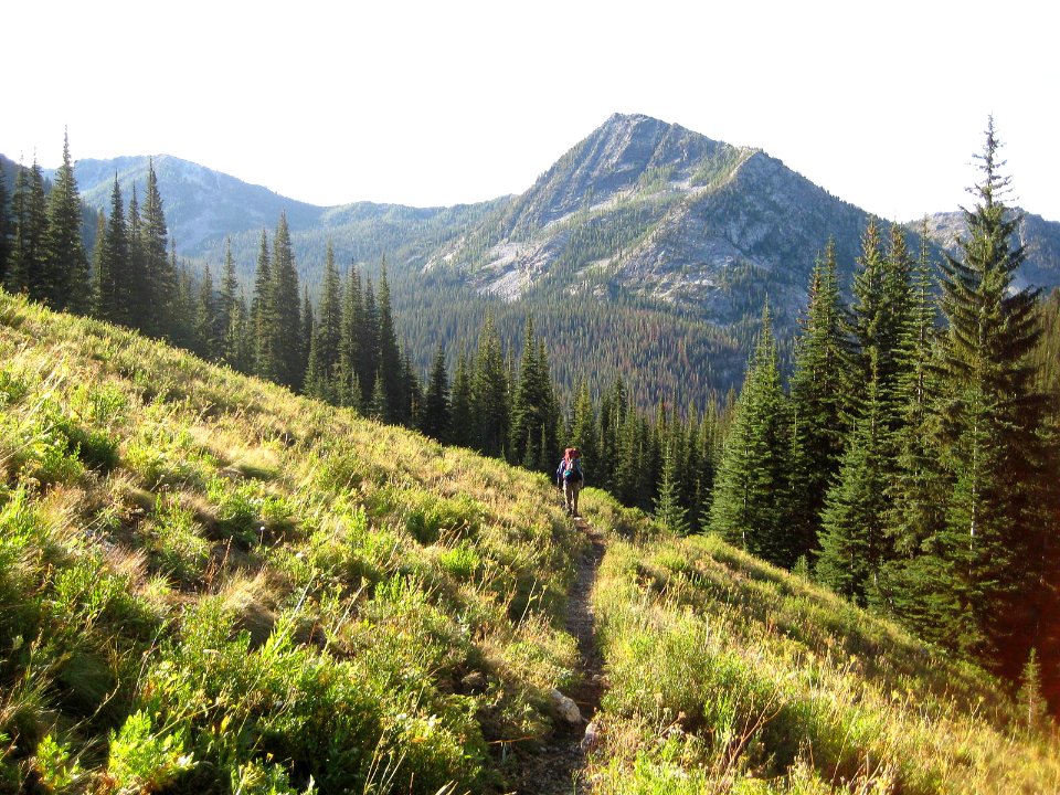 Trail above Lake Chelan-Okanogan Wenatchee