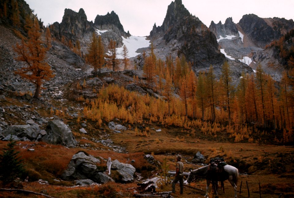 Okanogan-Wenatchee National Forest, Glacier Peak Wilderness