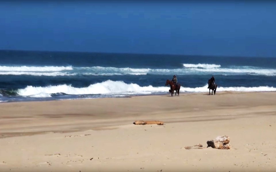 Riding Horses in the Oregon Dunes, Siuslaw National Forest
