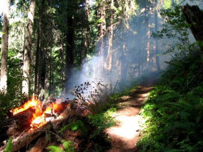 Lightning Fires at Buckhead Mountain-103, Willamette National Forest photo