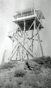 Lookout Tower Point Prominence, Whitman National Forest, OR c1942