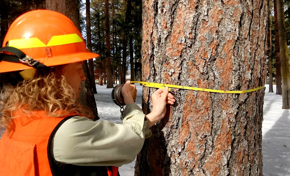 2019-Mar-deLeon-ColvilleNF-womens-history-month-Anna-Lowell-measure