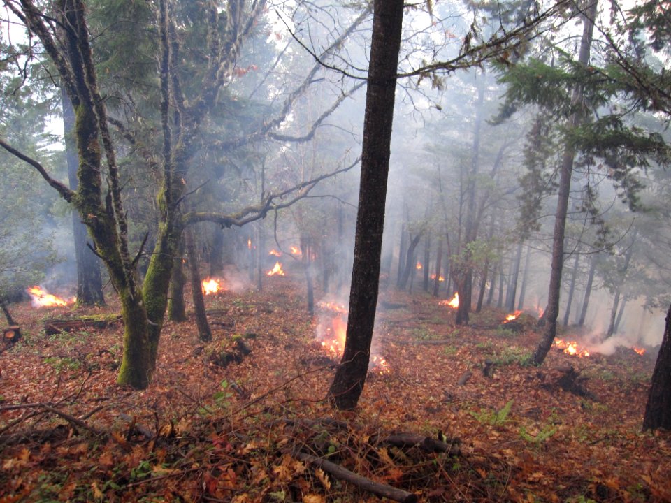 Pile burning Butcherknife-Slate and Waters Creek, Rogue River-Siskiyou National Forest