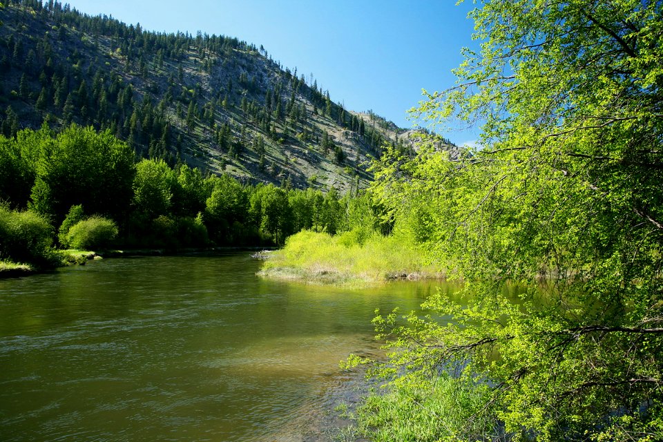 Shallows along Entiat River, Okanogan-Wenatchee National Forest