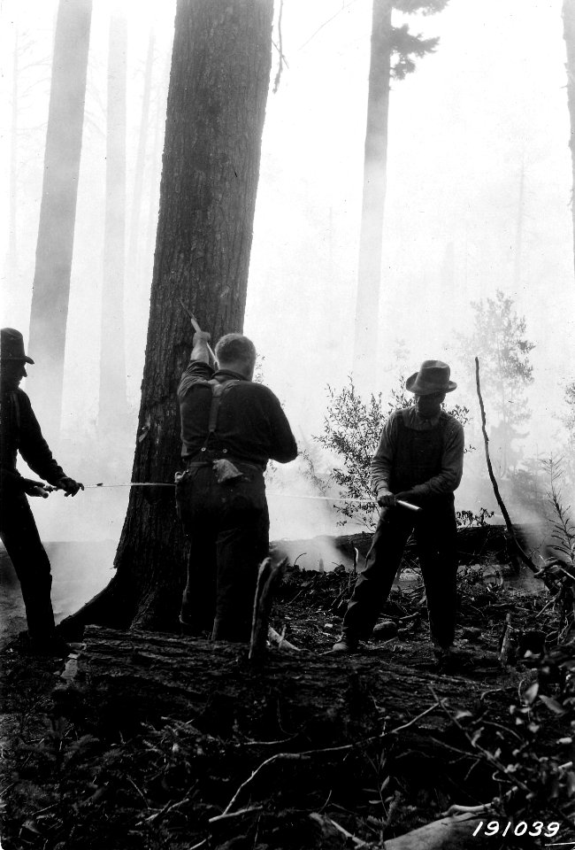 191039 Fire Fighting, Summit Creek Fire, Mt. Hood NF, 1924 OR