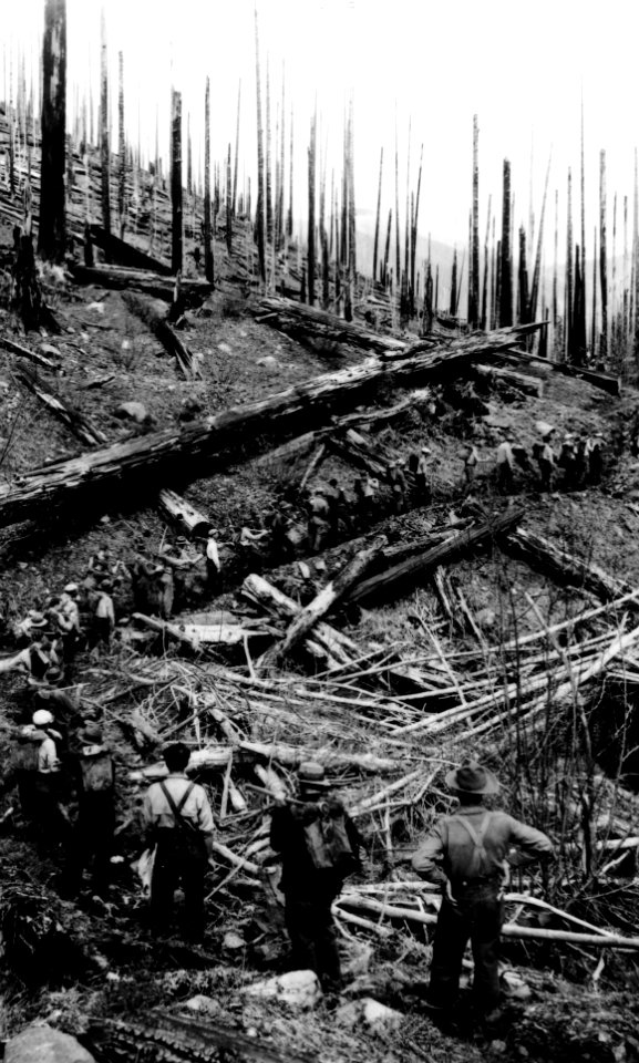 Columbia NF - Planting Crew on Lookout Mtn, WA 1936