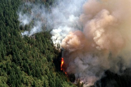 083 Rogue River-Siskiyou National Forest, Biscuit Fire