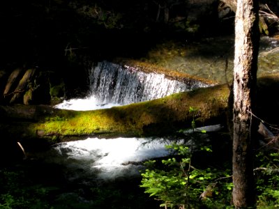 Big Quilcene Trail to Marmot Pass by Brewbooks, Olympic National Forest