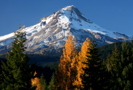Mt Hood NF Fall larch and Mt Hood000