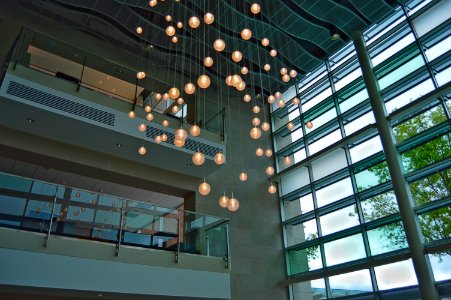 Fitzelle Lights